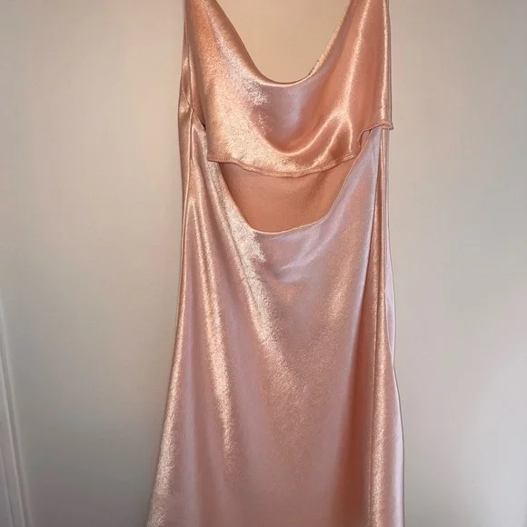 Dry goods, light and pastel pink silk dress, size small, tag still on - Picture 2 of 4